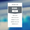 Hosting 300